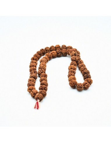 Japa Mala rudraksha Shiva (5 Mukhis) grande