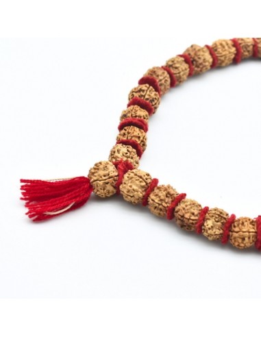 Japa Mala rudraksha Shiva (5 Mukhis) con fieltro separador