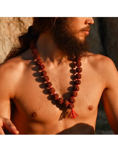 Japa Mala rudraksha Shiva (5 Mukhis) especial