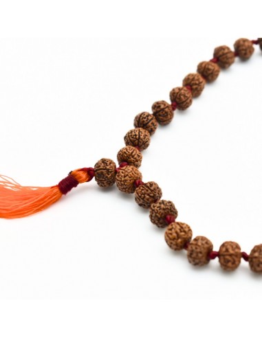 Japa Mala rudraksha Lakshmi (7 Mukhis) pequeño