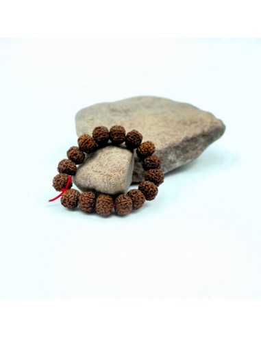 Pulsera mala rudraksha Lakshmi (7 mukhis)