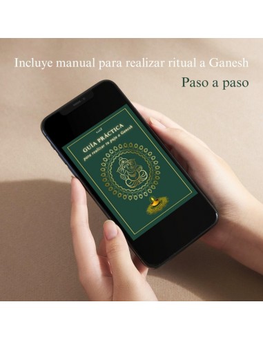 Guía virtual: cómo hacer tu puja tradicional a Ganesh