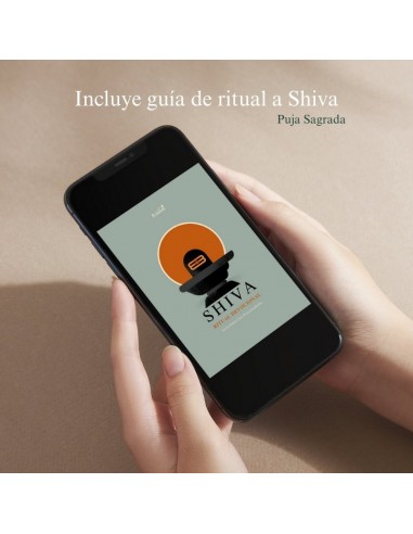 Guía virtual: cómo hacer tu puja tradicional a Shiva